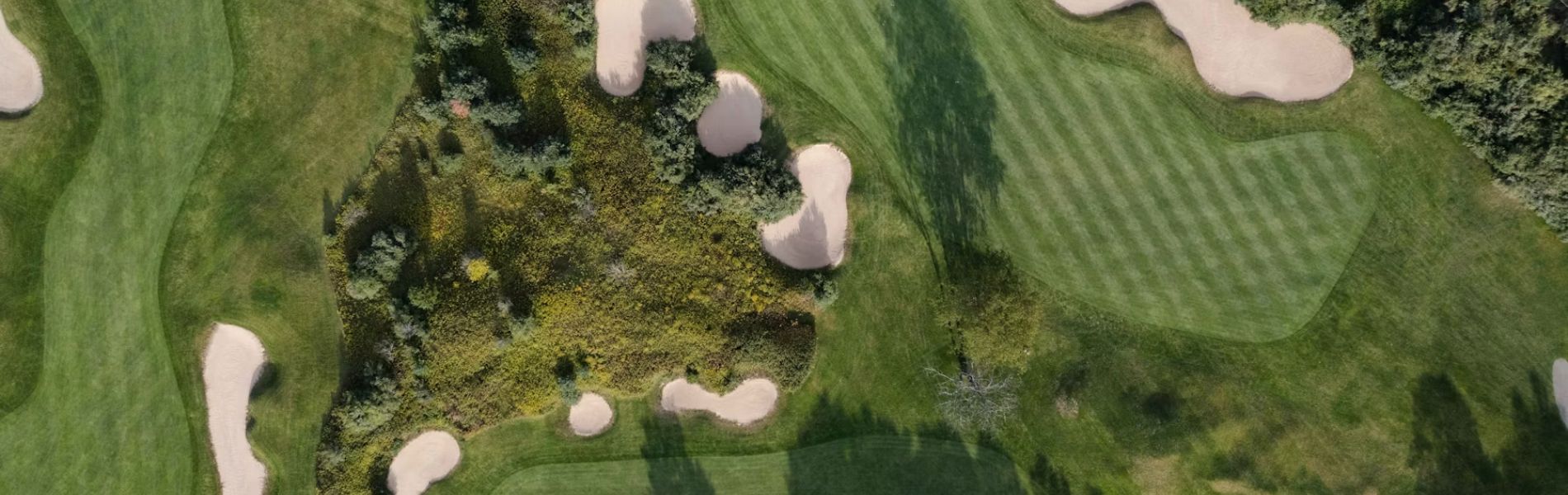 Golf club fairway in the early morning.
