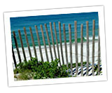 A beach on 30A - water, sand and sea oats