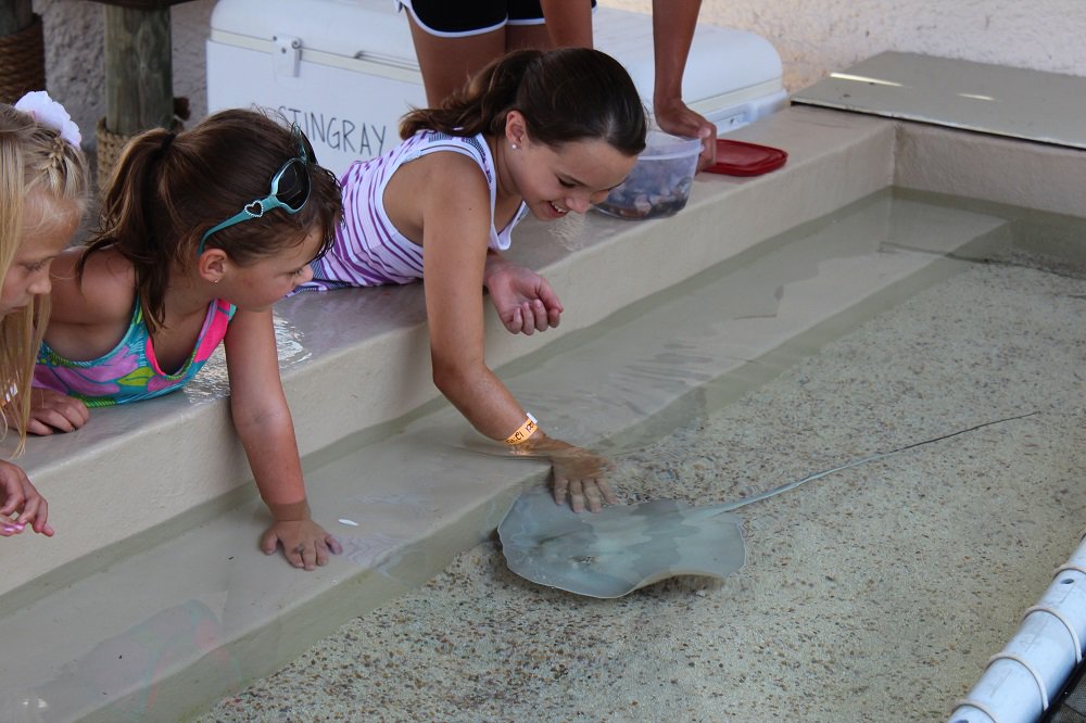 Kids petting a sting ray at Gulfarium