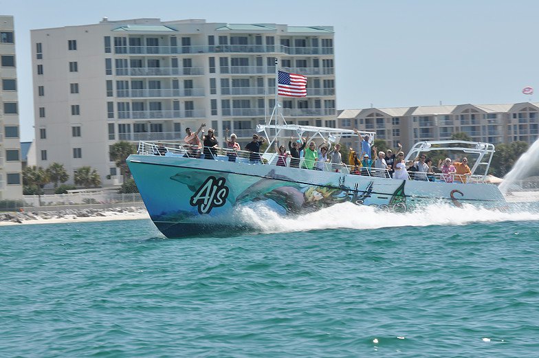 Seaquest dolphin sightseeing tour heading out looking for dolphins