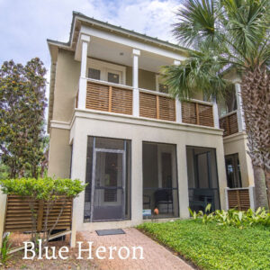 Blue Heron - Entrance to this vacation rental home with palm tree.