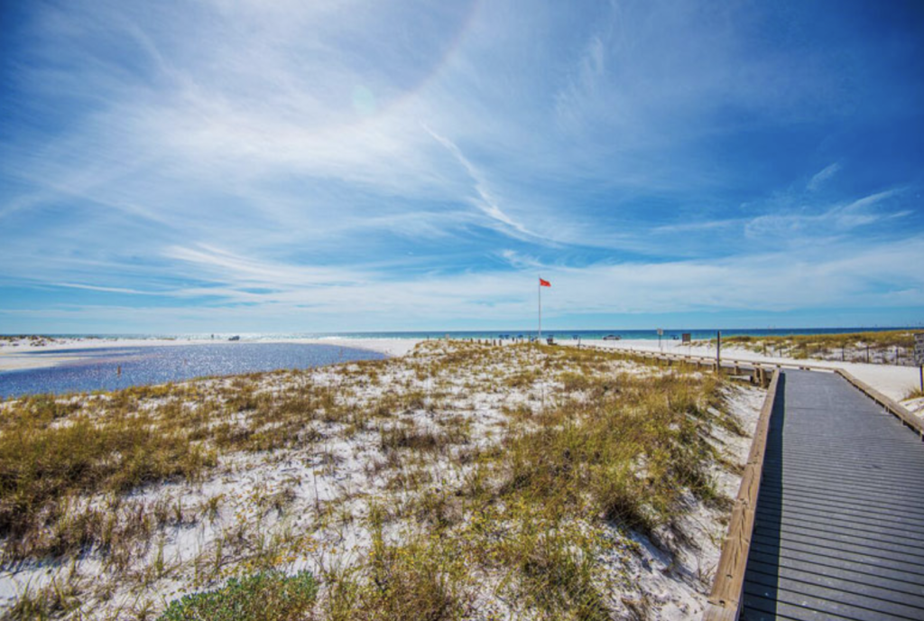 Sea oats, sand, and Gulf near our Grayton Beach rentals.