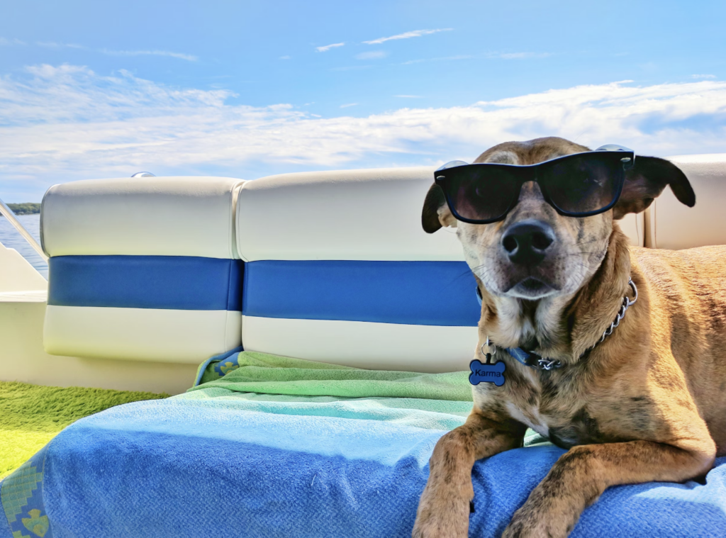 Dog in sunglasses laying on towel enjoying his 30A beach vacation