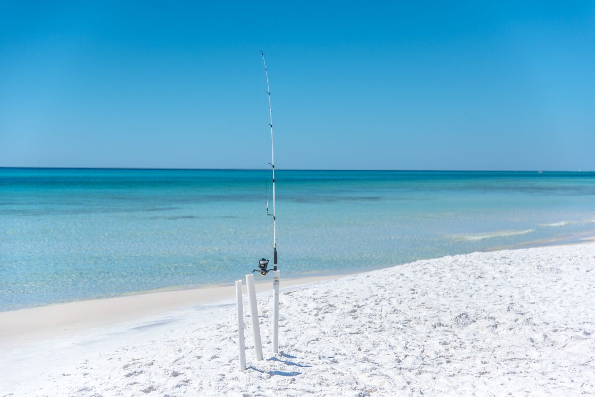 fishing poles on beach